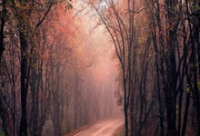 决战绿茵：技战术的艺术与永不熄灭的胜利之火