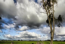 太阳炙烤，气势如虹：一场关于胜利的狂欢！