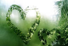 快船再胜开拓者，豪取三连胜：巨星闪耀，新篇章已启！