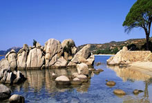 决战绿茵：技战术的艺术与永不熄灭的胜利之火