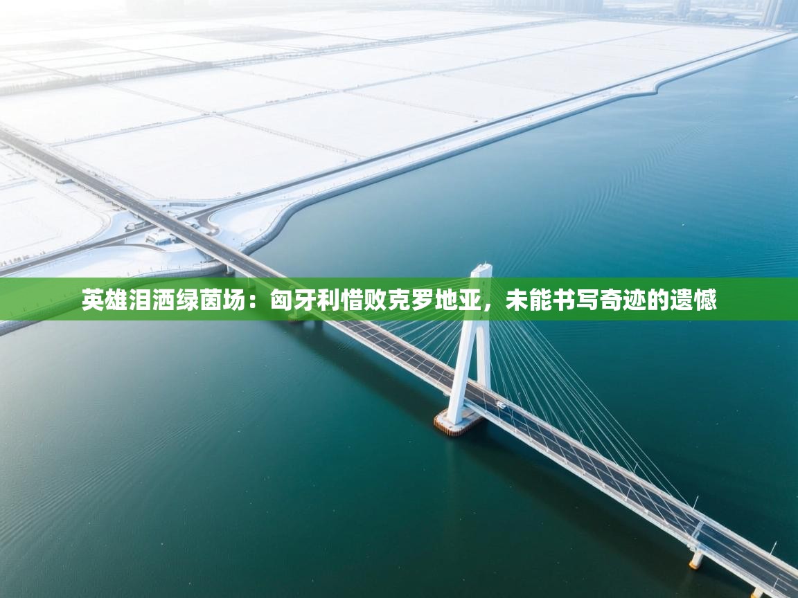 英雄泪洒绿茵场：匈牙利惜败克罗地亚，未能书写奇迹的遗憾